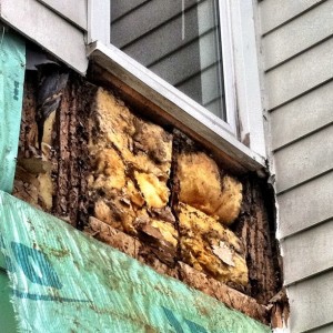 The wood rot in the wall was pretty extensive.